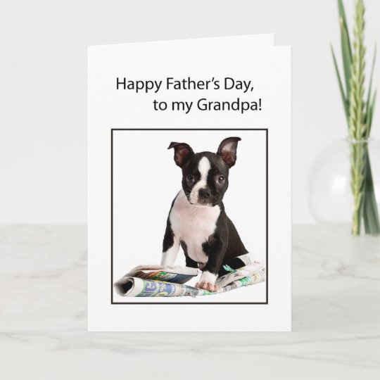 Download Grandpa Father's Day Funny Dog Newspaper Card | Zazzle.com