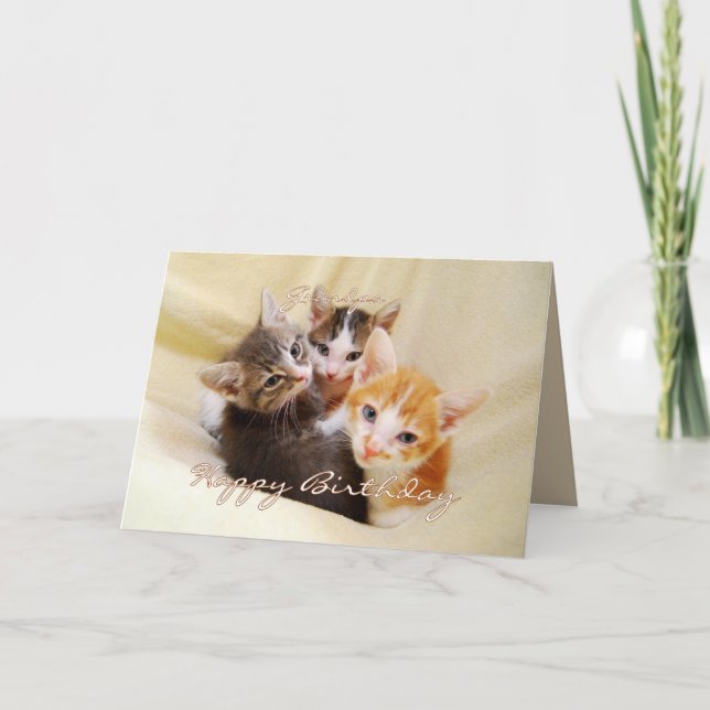 Grandpa Happy Birthday Trio of Kittens Card (Front)