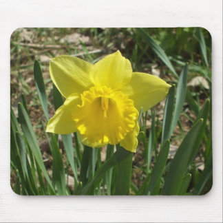 Grandparent's Bright Yellow Daffodil Mouse Pad