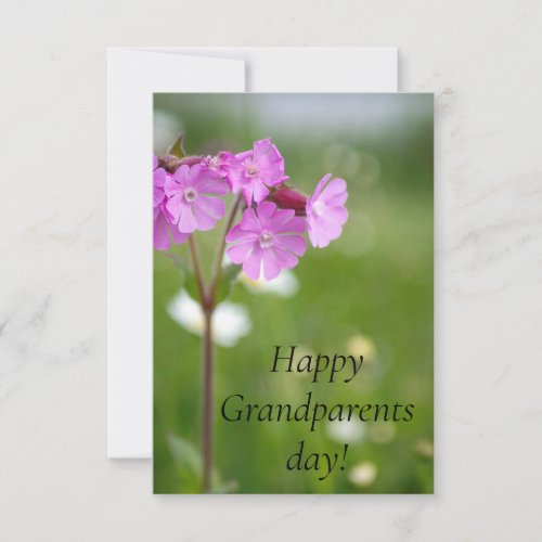 Grandparents day the best grandparents ever thank you card