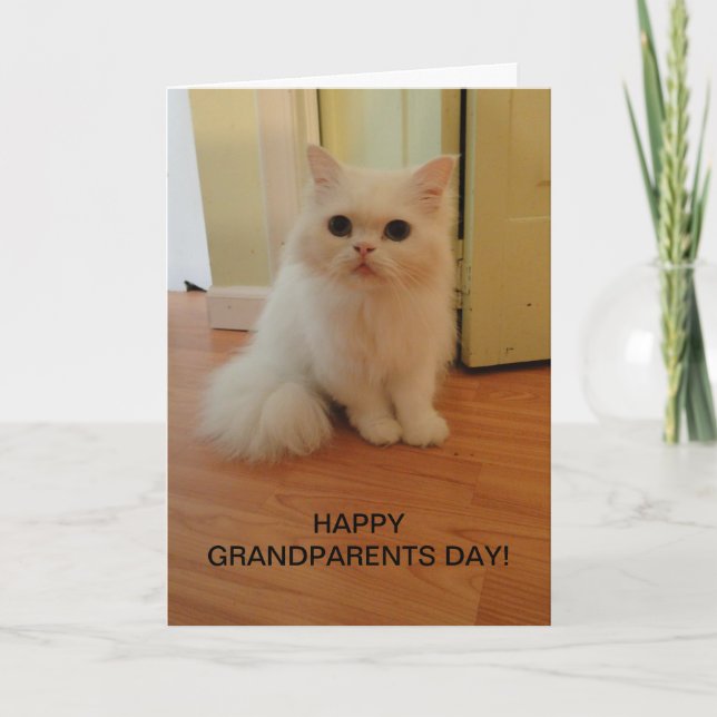 Grandparents Day, White Cat Card (Front)