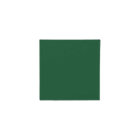 Grandparents First Christmas Vintage Truck Photo