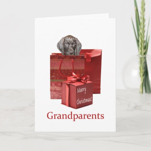 Grandparents Glossy Grizzly  Merry Christmas Holiday Card