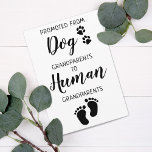 Grandparents Pregnancy Announcement Card<br><div class="desc">You've been promoted from Dog grandparents to Human grandparents! Include your best dog in your pregnancy announcement to your parents, the new baby grandparents with this adorable dog pregnancy announcement card. “You've been promoted from Dog grandparents to Human grandparents... Personalize with Baby Last Name and Your Month/Date 20xx. and personal...</div>