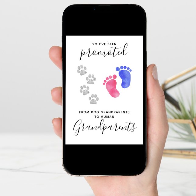 Grandparents You Been Promoted Pet Dog Pregnancy Announcement (Front Digital)