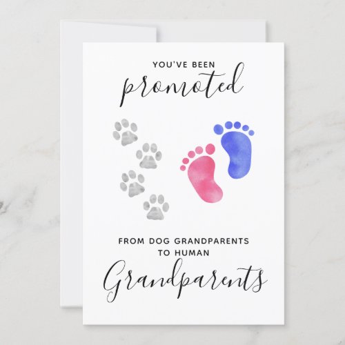 Grandparents You Been Promoted Pet Dog Pregnancy Announcement