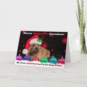 Grandson Grumpy Border Terrier Dog In Santa Hat Holiday Card