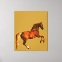 Grandson of the Godolphin Arabian