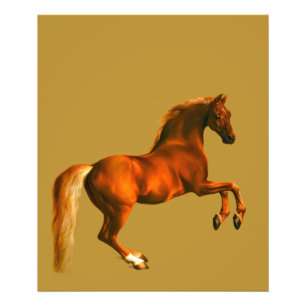 Grandson of the Godolphin Arabian Photo Print