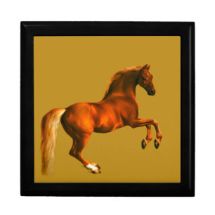 Grandson of the Godolphin Arabian, Whistlejacket Gift Box