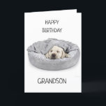 GRANDSON ON BIRTHDAY! CARD<br><div class="desc">THANK U FOR STOPPING BY ONE OF MY EIGHT STORES!!!!</div>