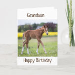 *GRANDSON* YOUR BIRTHDAY IS A SPECIAL DAY CARD<br><div class="desc">THANK U FOR STOPPING BY 1 OF MY 8 STORES!</div>