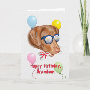 Grandson's Birthday Card with Labrador Dog