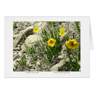 Granite Cliff Gifts Cards