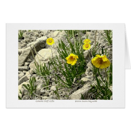 Granite Cliff Gifts Cards (Front Horizontal)