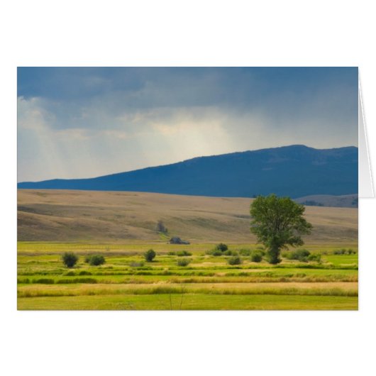 Granite County Montana Cards (Front Horizontal)