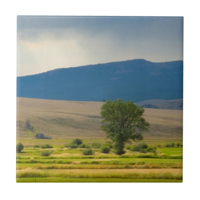Granite County Montana Ceramic Tile (Front)