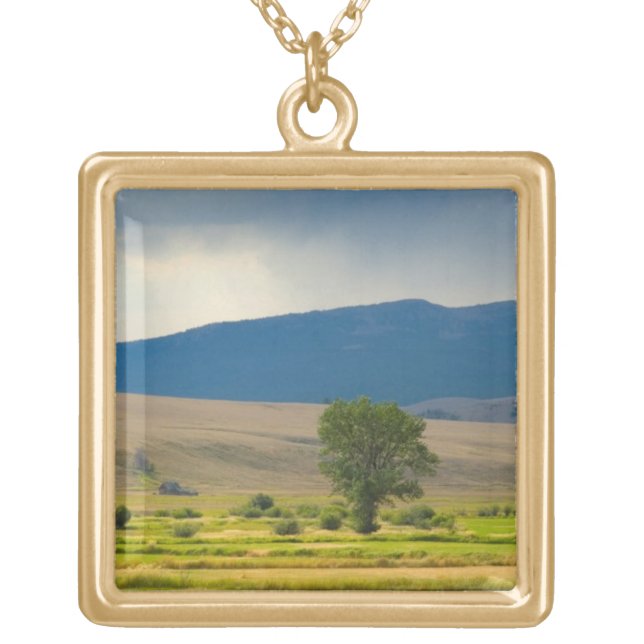 Granite County Montana Gold Plated Necklace (Front)