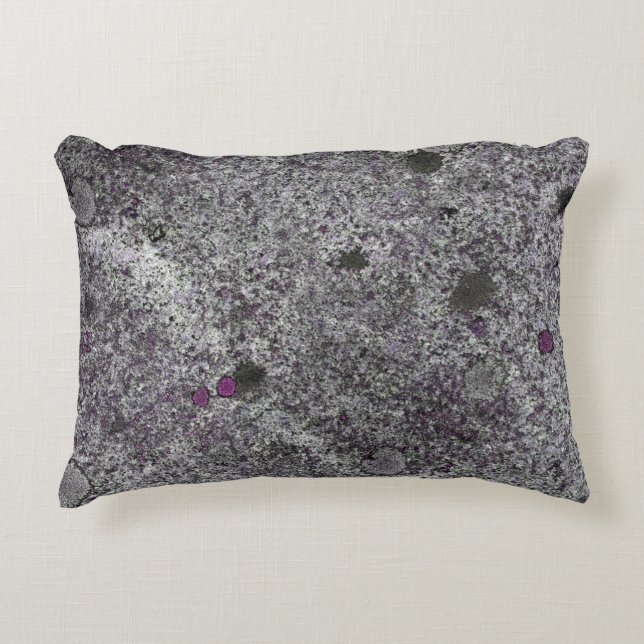 Granite Gray with Pink Details Decorative Pillow (Front)