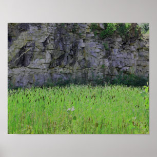 Granite Quarry Rock Cliff Wall Cattails Nature Poster