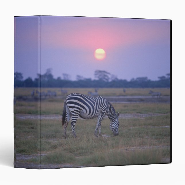 Grant Zebra 3 Binder (Front/Spine)