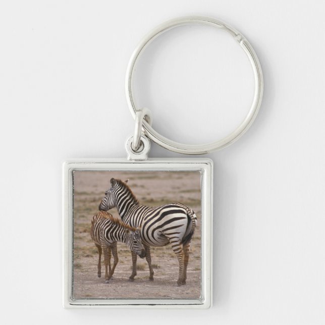Grant Zebra 3 Keychain (Front)