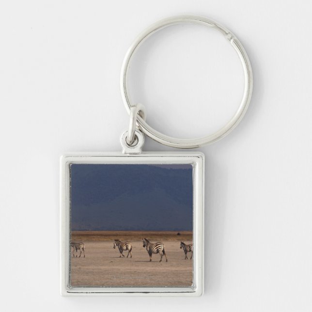 Grant Zebra 4 Keychain (Front)