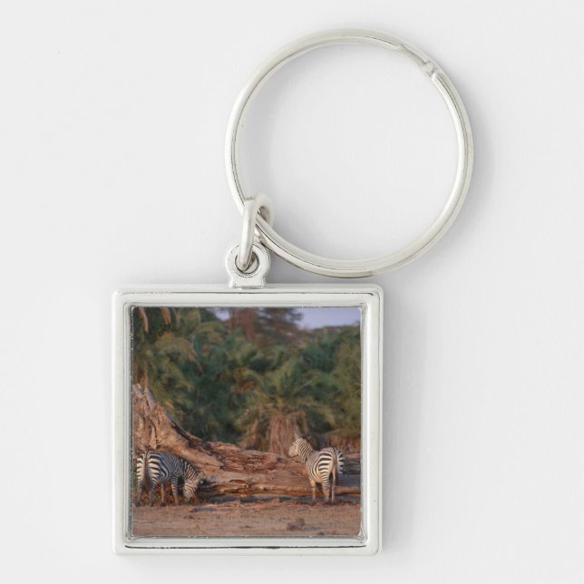 Grant Zebra 5 Keychain (Front)