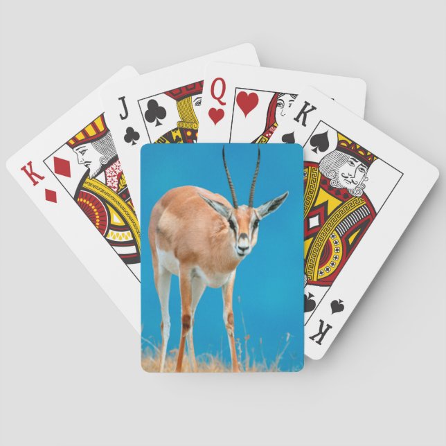 Grant's Gazelle (Gazella Granti) Ewe Portrait Poker Cards (Back)