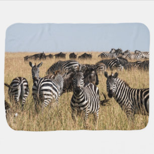 Grant's Zebra Baby Blanket