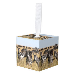 Grant's Zebra Cube Ornament