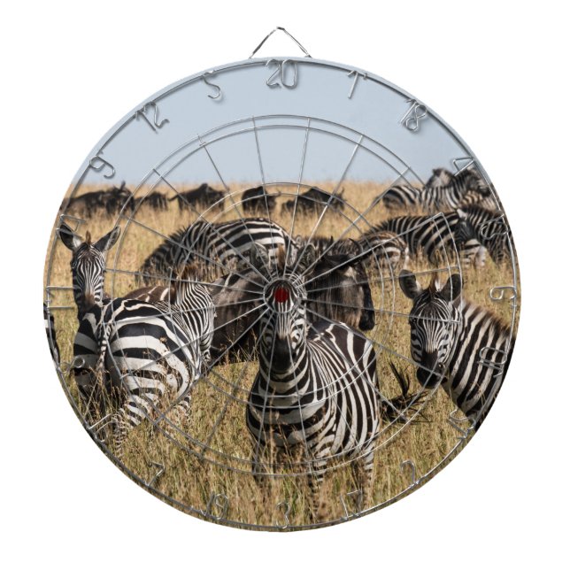 Grant's Zebra Dart Board (Front)
