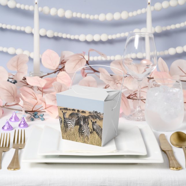 Grant's Zebra Favor Boxes (Wedding)