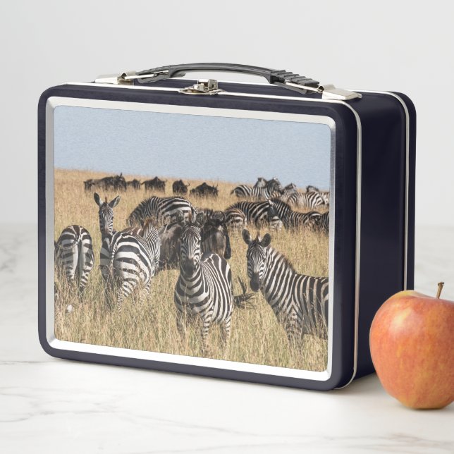 Grant's Zebra Metal Lunch Box (In Situ)