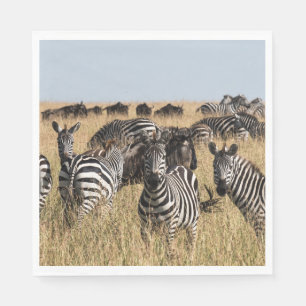 Grant's Zebra Napkins