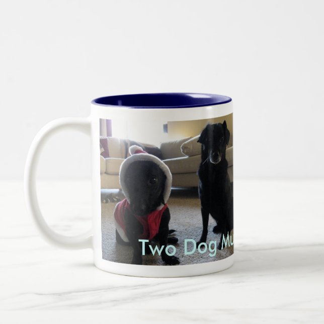 GRAP 2010 Blue Two-Tone Coffee Mug (Left)