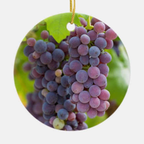 grape and vineyard ceramic ornament
