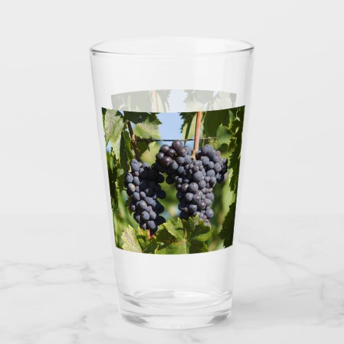 grape and vineyard  glass