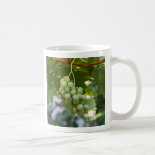 grape and vineyard in spring coffee mug