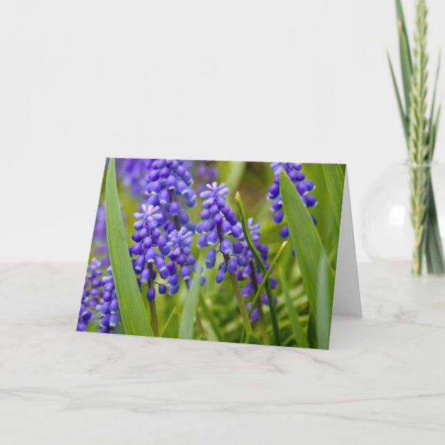 Grape Hyacinth Card (Front)