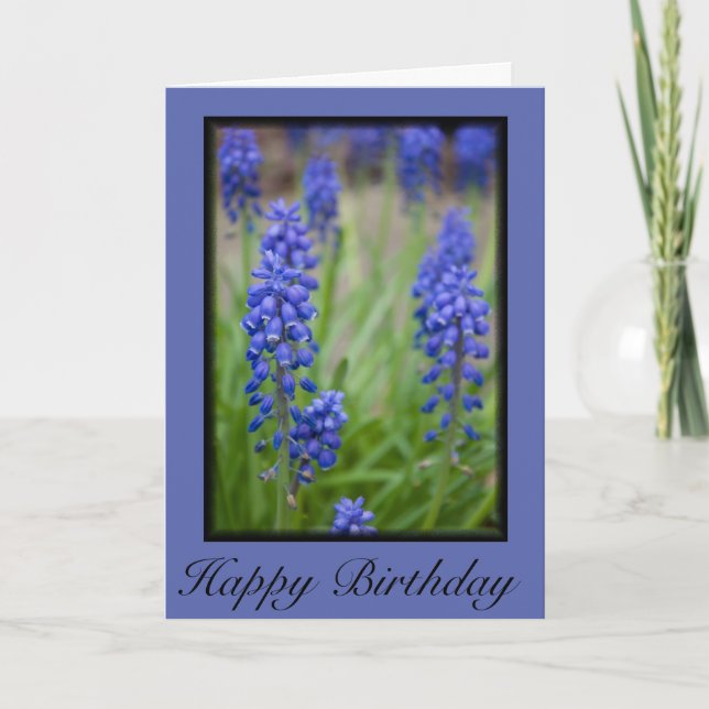 Grape Hyacinth card Happy Birthday (Front)