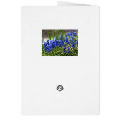 Grape Hyacinth Cards (Back)