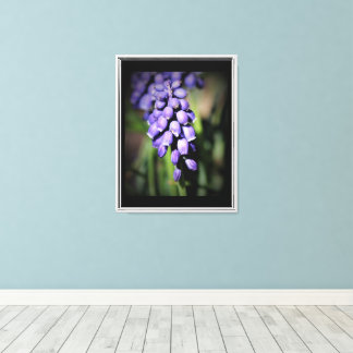 Grape Hyacinth Floral  Canvas Print