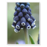 Grape Hyacinth Flower Temporary Tattoos