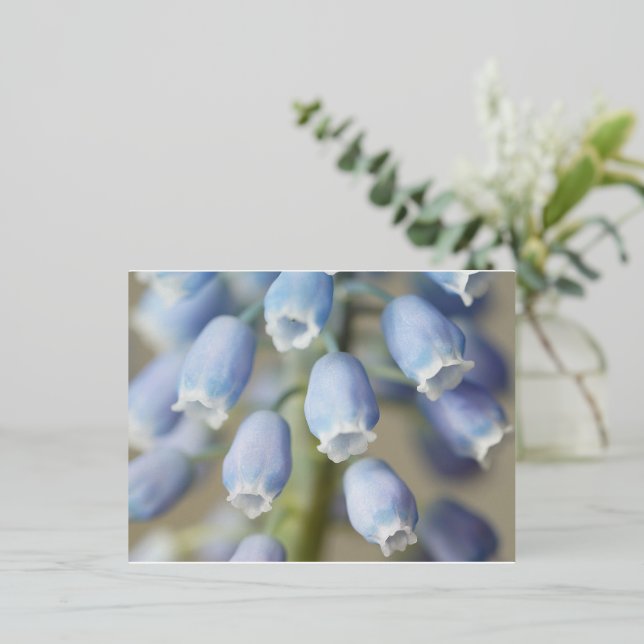 Grape Hyacinth Flowers Foil Holiday Postcard (Standing Front)