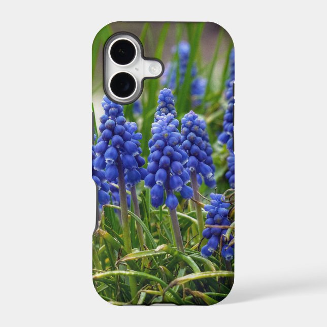 Grape Hyacinth Iphone Case (Back)