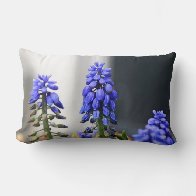 grape hyacinth lumbar pillow (Front)