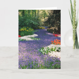 Grape Hyacinth River Card