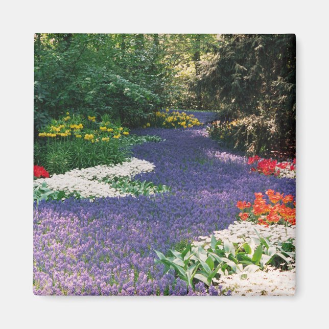 Grape Hyacinth River Magnet (Front)