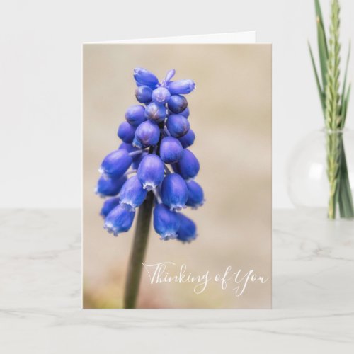 Grape Hyacinth Thinking of You Card